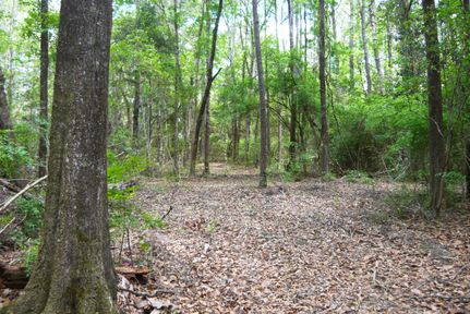 Farm and Ranch in Covington County, Alabama