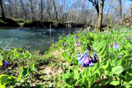 Recreational Property in Lawrence County, Tennessee
