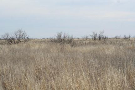 Farm and Ranch in Floyd County, Texas