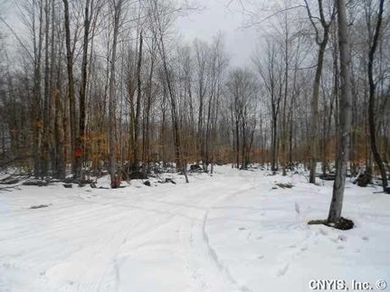 Farm and Ranch in Oswego County, New York