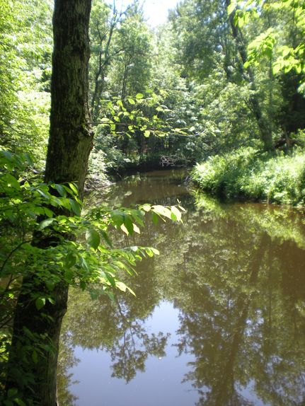 Farm and Ranch in Oneida County, New York