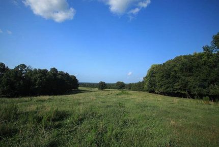 Farm and Ranch in Blount County, Alabama