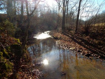 Hunting Property in Dickson County, Tennessee