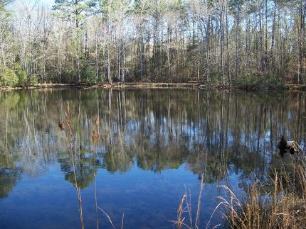 Farm and Ranch in Sumter County, Georgia