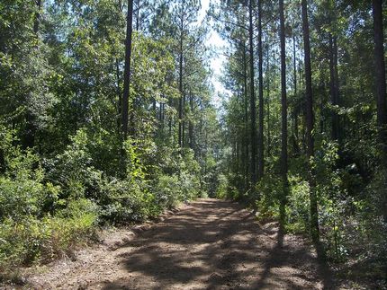 Land in Baker County, Georgia