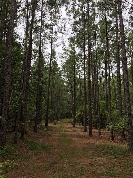Land in Kershaw County, South Carolina