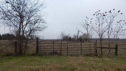Farm and Ranch in Milam County, Texas