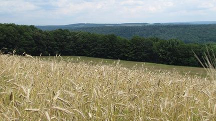 Undeveloped Land in Cortland County, New York