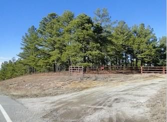 Farm and Ranch in Ozark County, Missouri