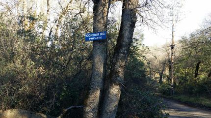Farm and Ranch in Butte County, California