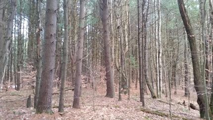 Farm and Ranch in Oneida County, New York