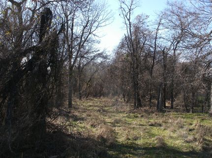Land in Parker County, Texas