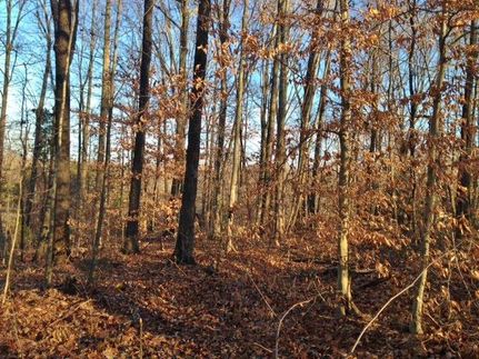 Land in Cannon County, Tennessee