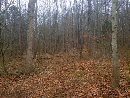 Farm and Ranch in Davidson County, Tennessee