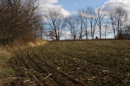 Land in Pike County, Missouri