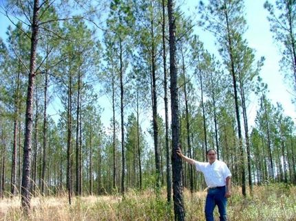Horse Property in Baldwin County, Alabama