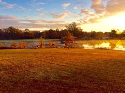 Farm and Ranch in Dallas County, Alabama
