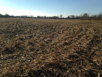 Land in Dodge County, Nebraska