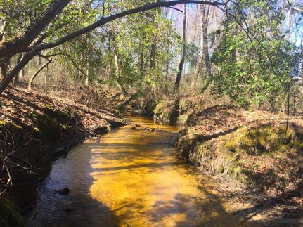 Land in Kershaw County, South Carolina