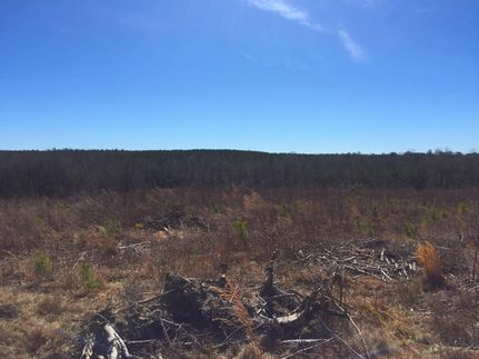 Land in Kershaw County, South Carolina