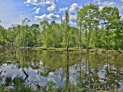 Farm and Ranch in Wilcox County, Alabama