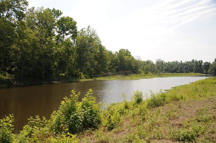 Timberland Property in Marion County, South Carolina