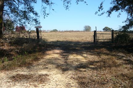 Recreational Property in Covington County, Alabama