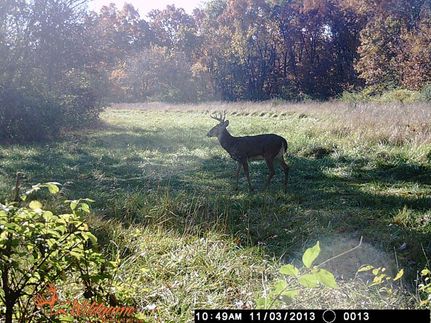 Land in Calhoun County, Illinois