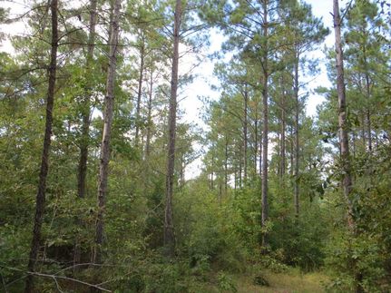 Farm and Ranch in Elmore County, Alabama