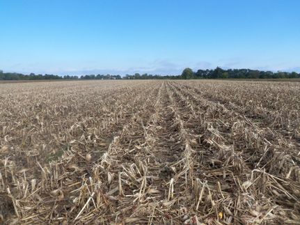 Farm and Ranch in Greene County, Illinois