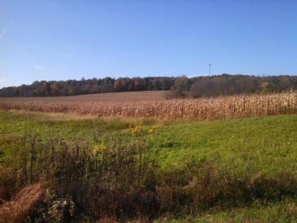Farm and Ranch in Union County, Pennsylvania