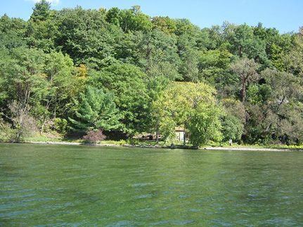 Lakefront Property in Cayuga County, New York