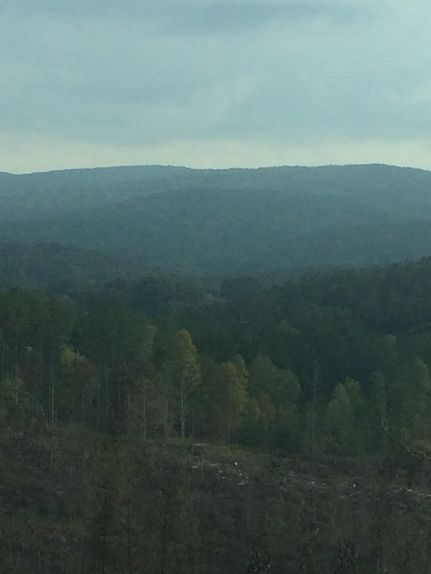 Farm and Ranch in Pickens County, Georgia