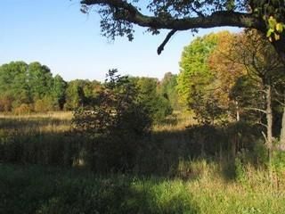 Timberland Property in Oneida County, New York
