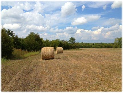 Farm and Ranch in Grayson County, Texas