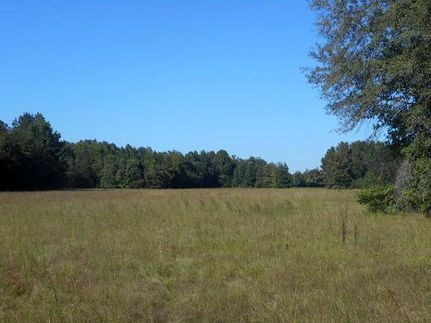 Farm and Ranch in Marengo County, Alabama