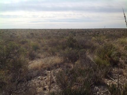 Farm and Ranch in Terrell County, Texas