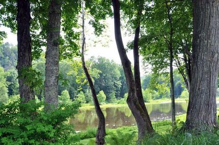 Recreational Property in Greenbrier County, West Virginia