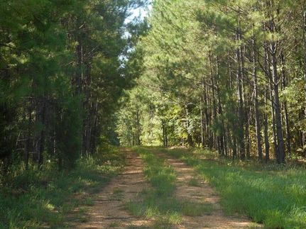 Farm and Ranch in Marengo County, Alabama