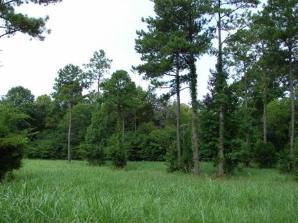 Farm and Ranch in Lowndes County, Alabama