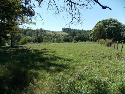 Farm and Ranch in Floyd County, Virginia