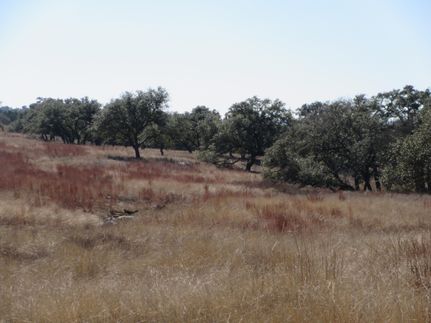 Farm and Ranch in Hays County, Texas