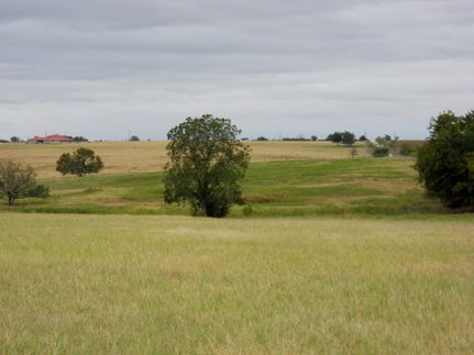 Farm and Ranch in Montague County, Texas