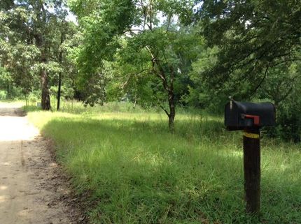 Farm and Ranch in Tyler County, Texas