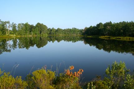 Land in Decatur County, Georgia