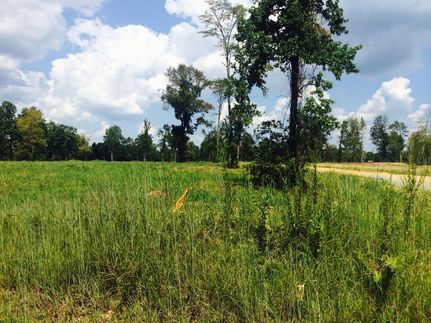 Land in Ouachita Parish, Louisiana