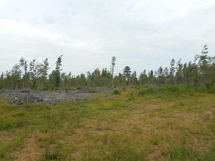 Farm and Ranch in Marengo County, Alabama