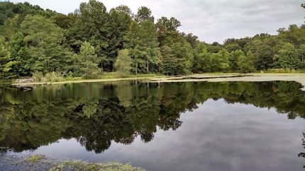 Farm and Ranch in Pike County, Ohio