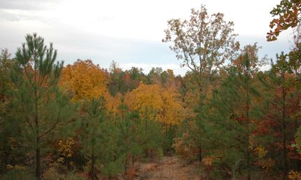 Farm and Ranch in Jefferson County, Alabama