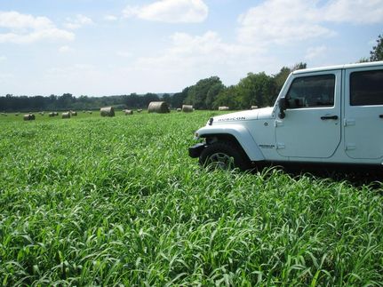 Farm and Ranch in Le Flore County, Oklahoma